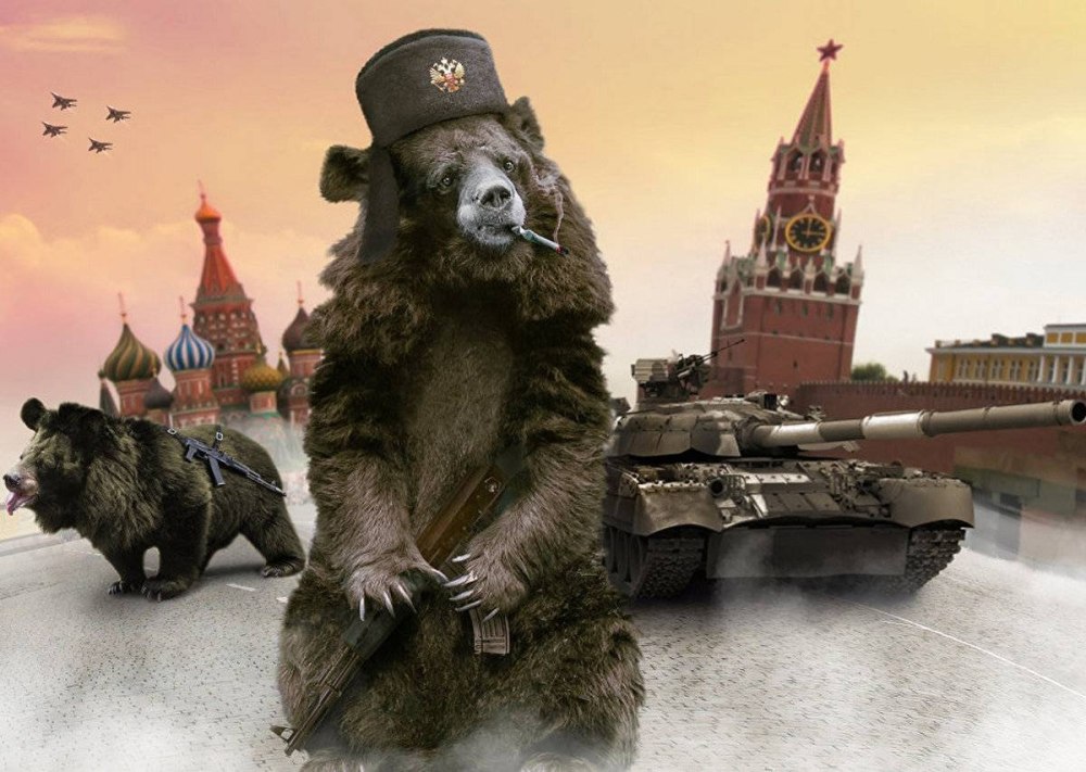 Медведь на фоне флага