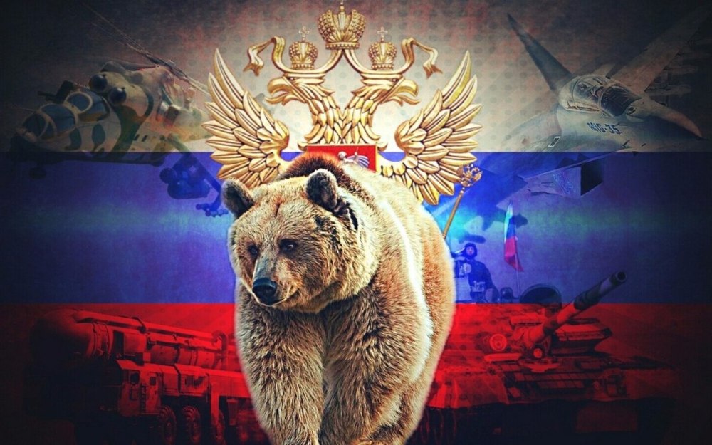 Медведь на фоне России