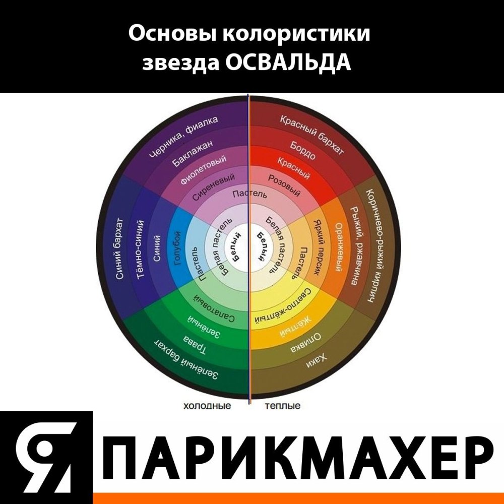 Колор тач цветовой круг