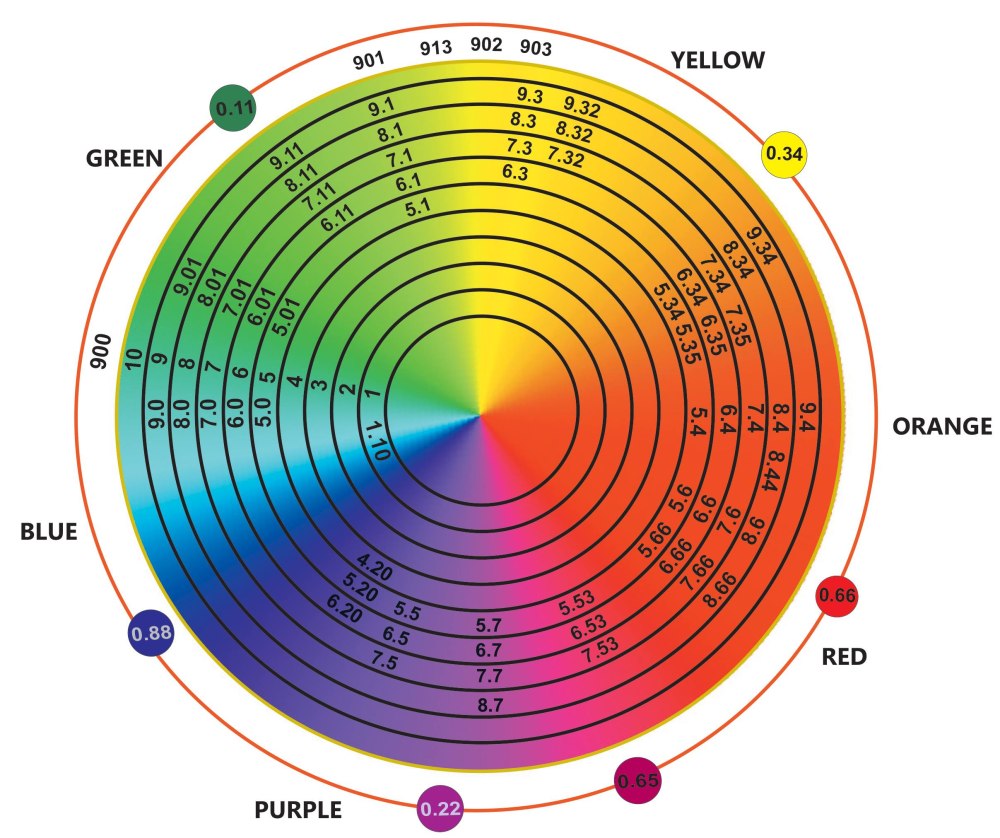Color Wheel Basic schemes картинки