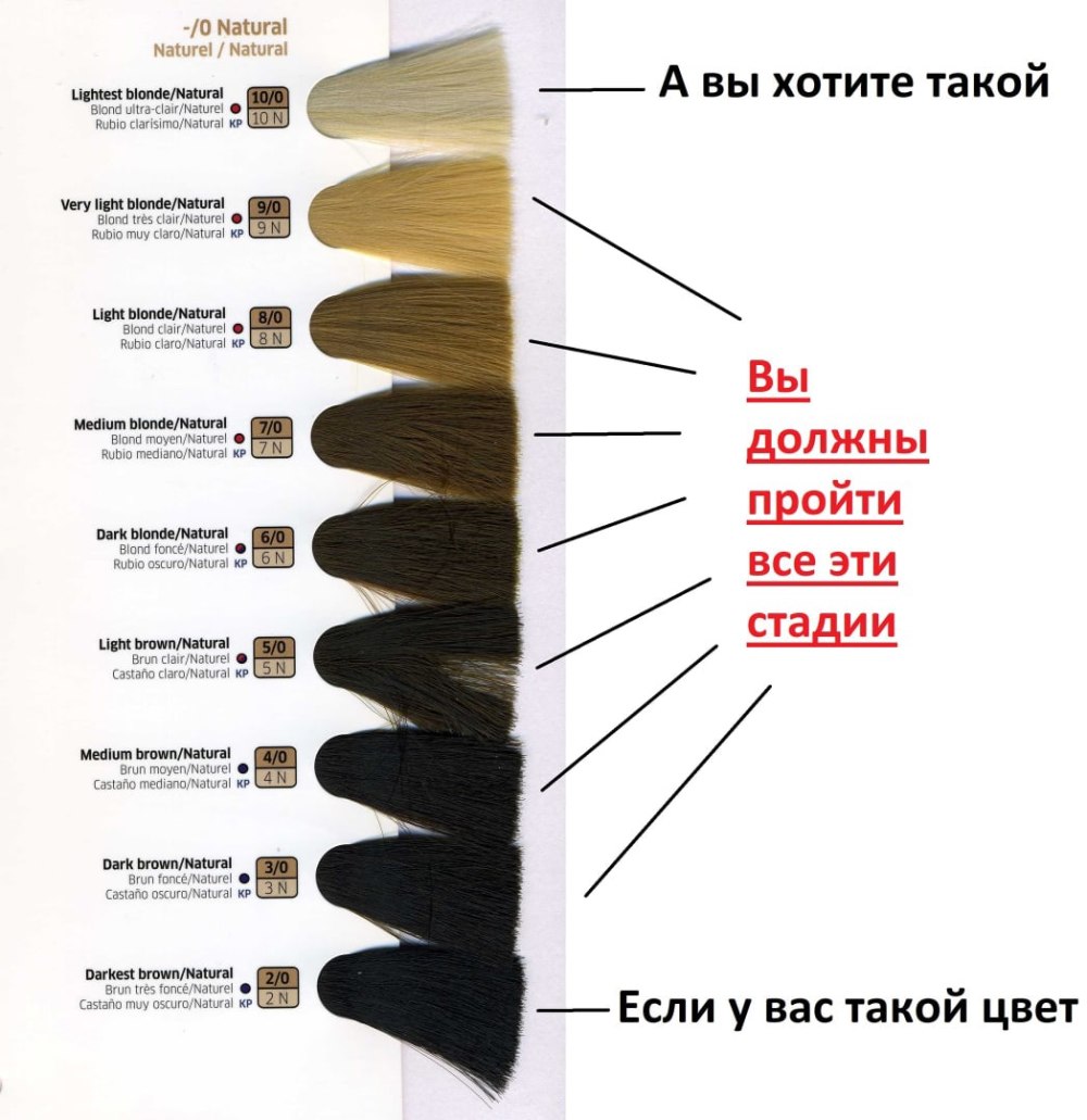 Круг Освальда для колористики волос изучение