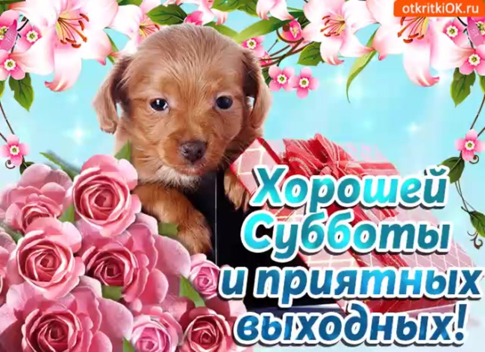 Доброе субботнее утро