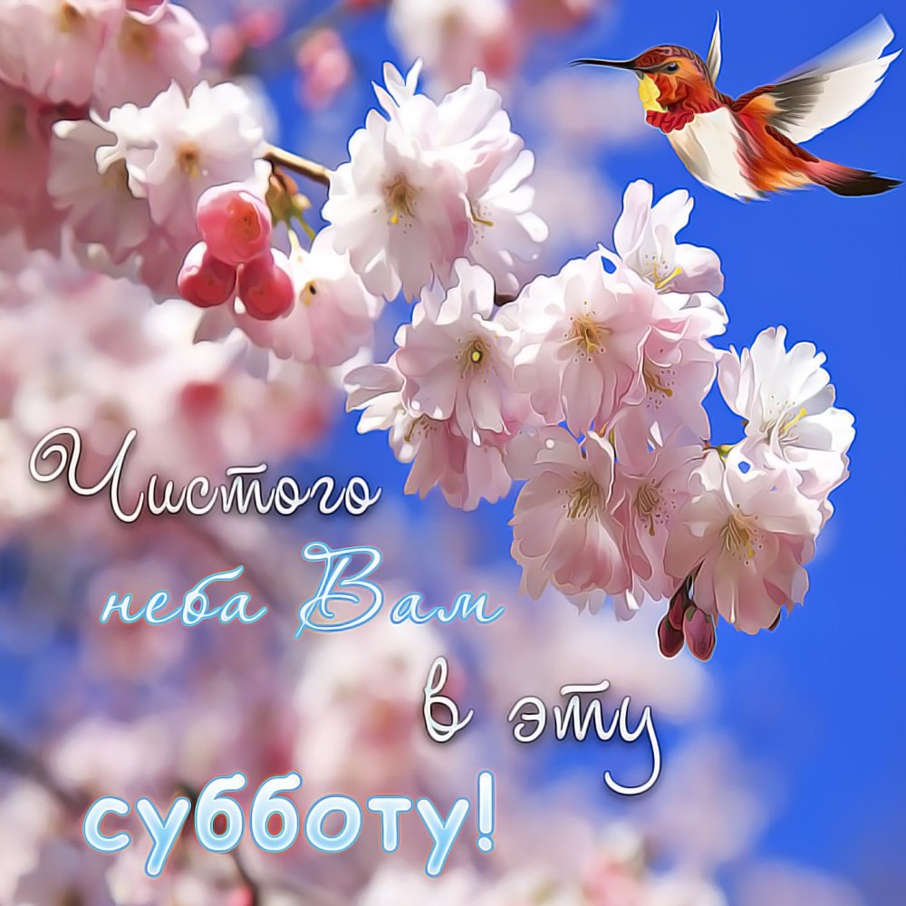 Открытки с субботой