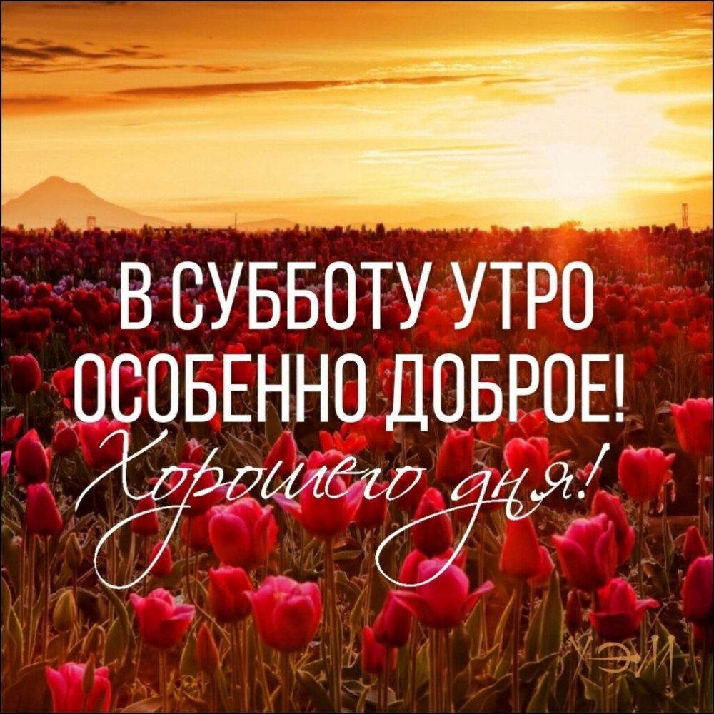 Доброе утро субботнего дня