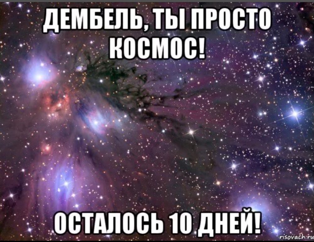 Бичес девушки