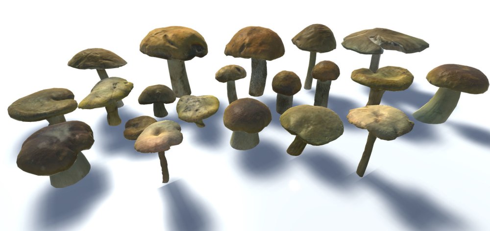 3d модель гриба