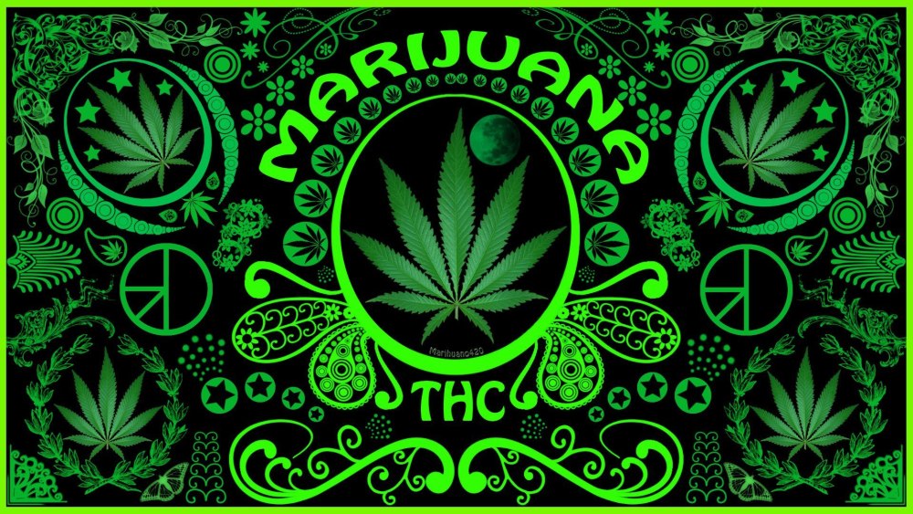 Конопля на заставку