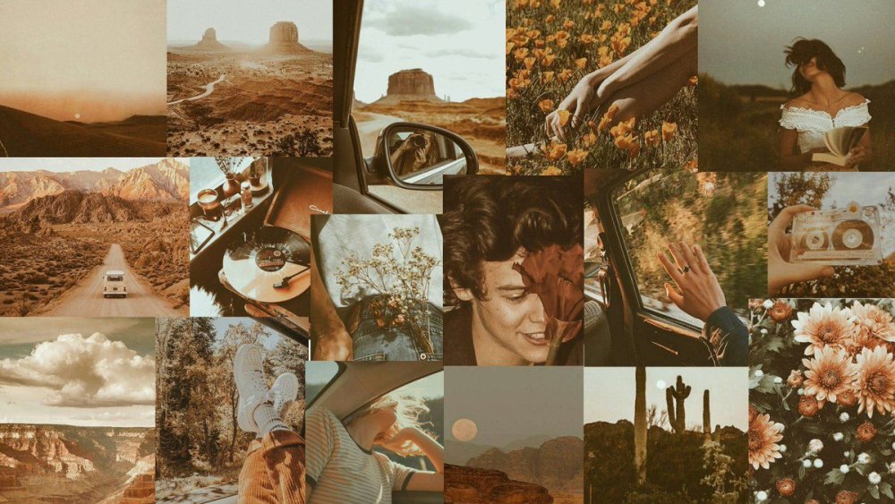 Цветы Минимализм