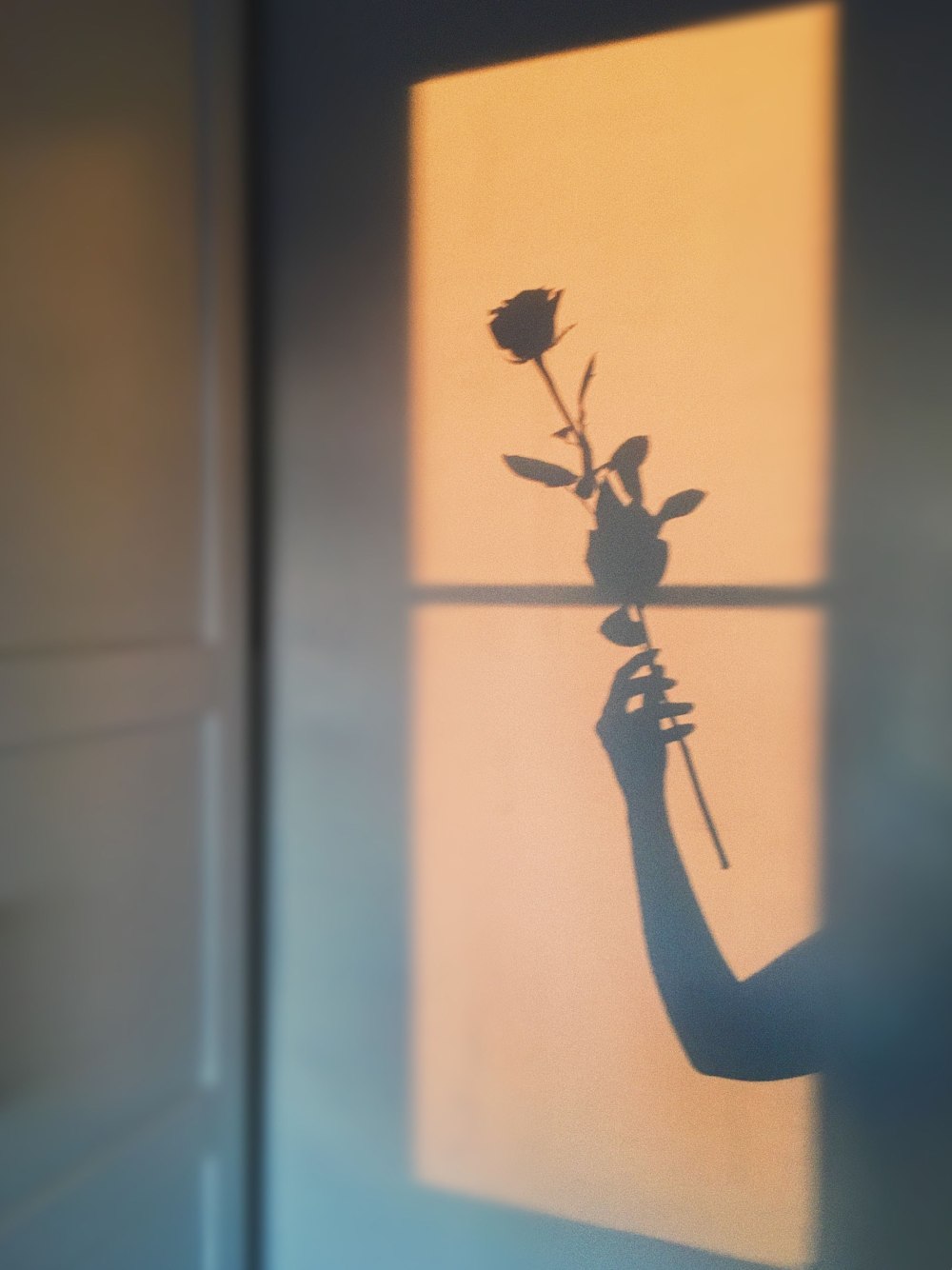 Красивейшие коллажи