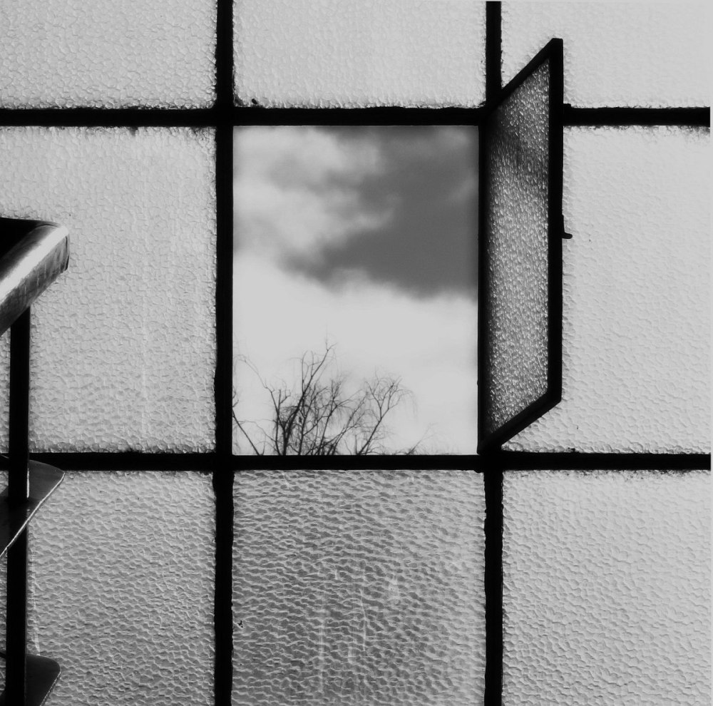 Николас ривалс