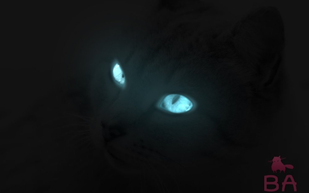 Кот со светящимися глазами