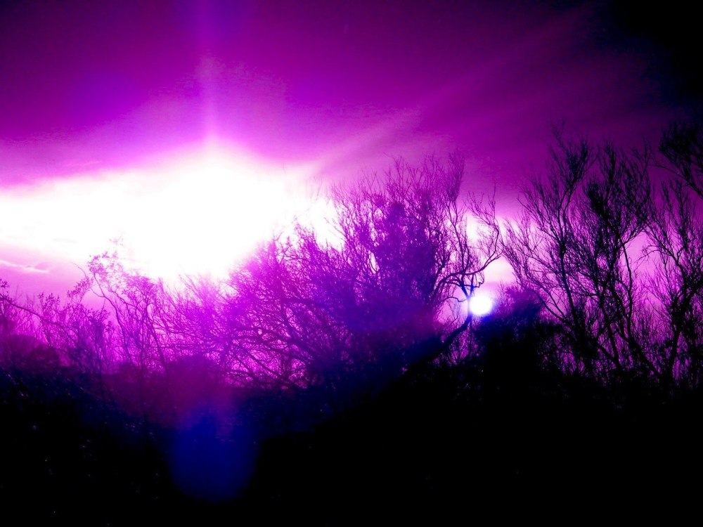 Неоновый фиолетовый