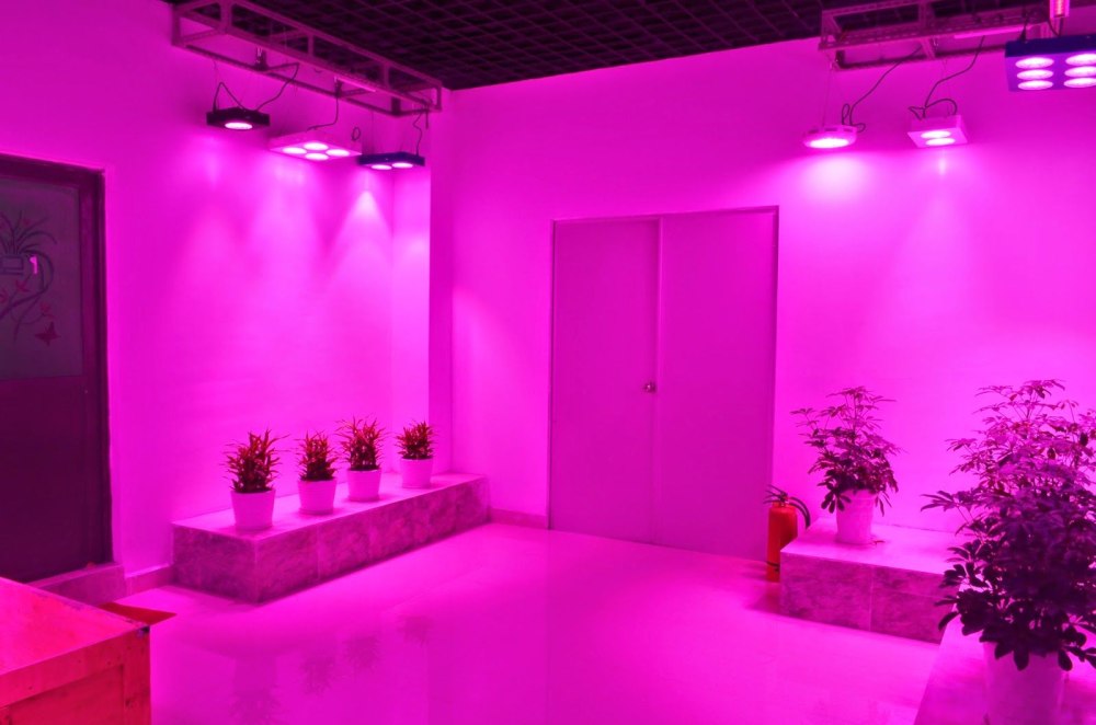 Эстетика фиолетового