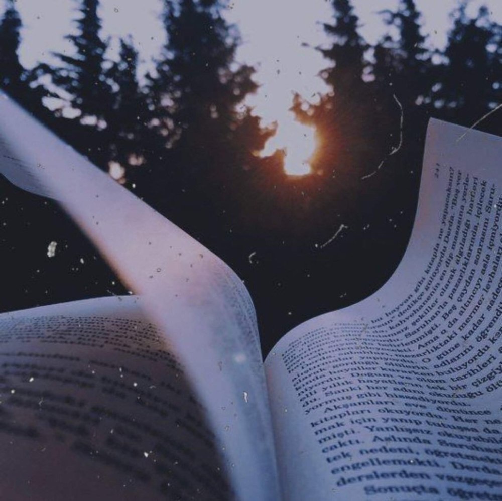 Эстетические изображения