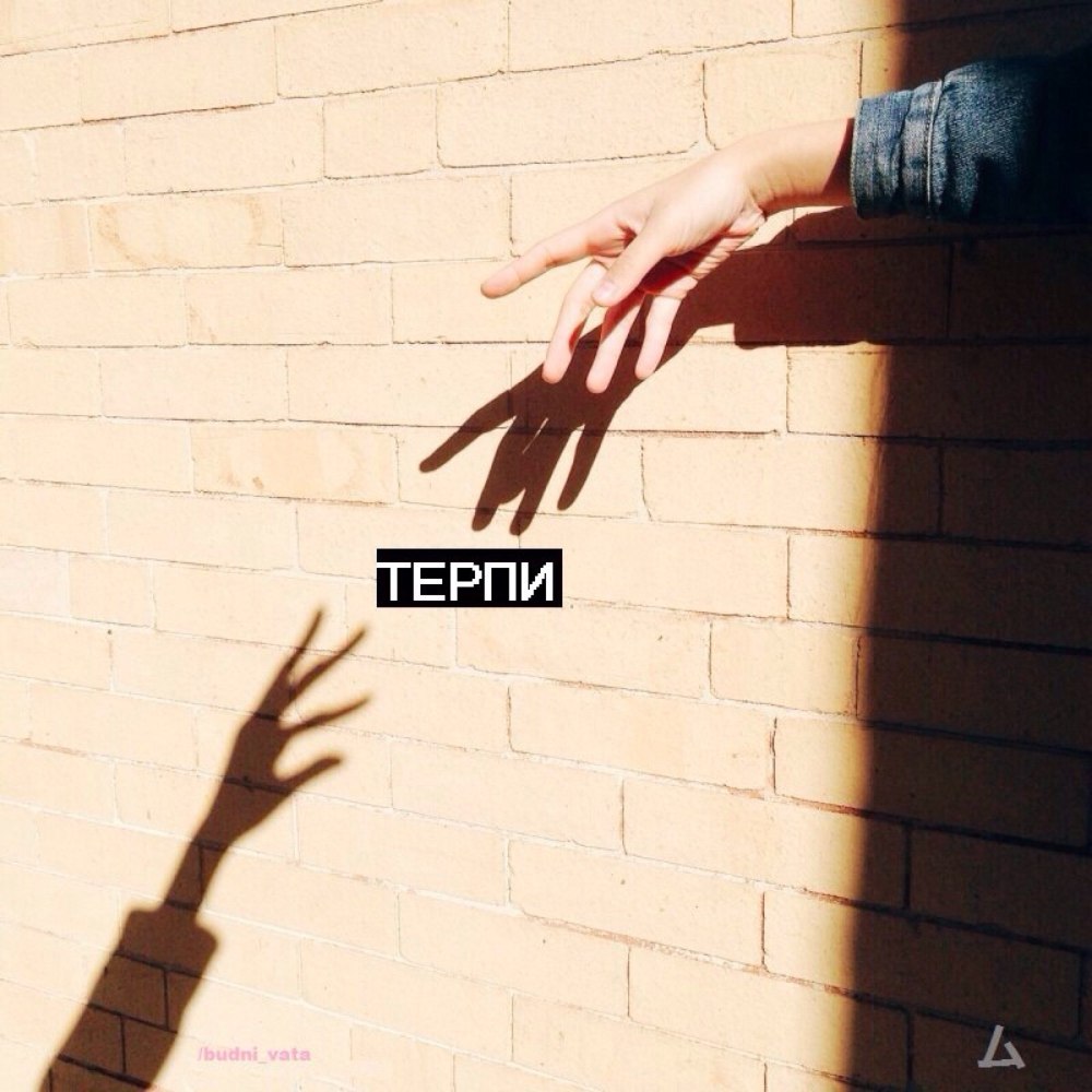 Бабочки Эстетика