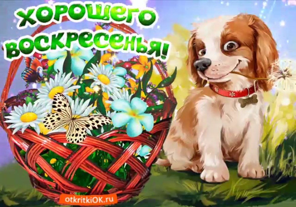 Поздравление с воскресеньем