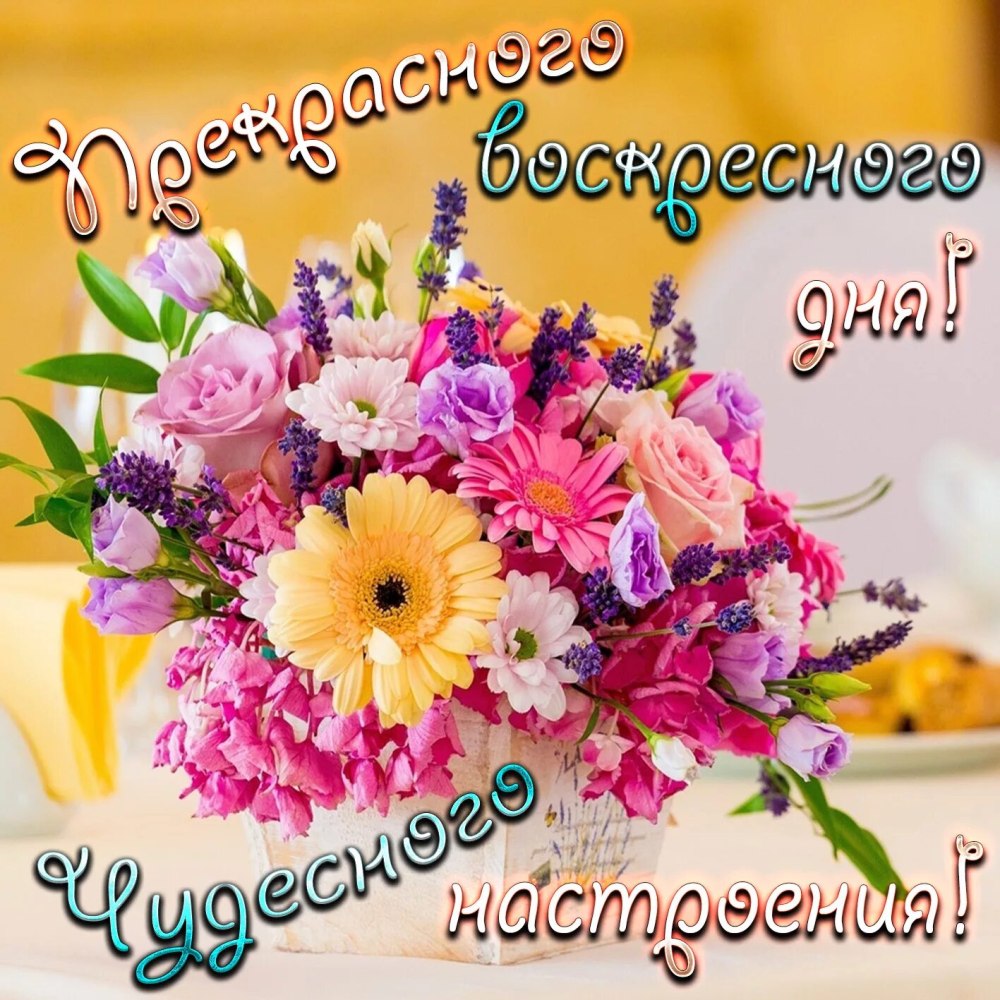 Отличного воскресного дня