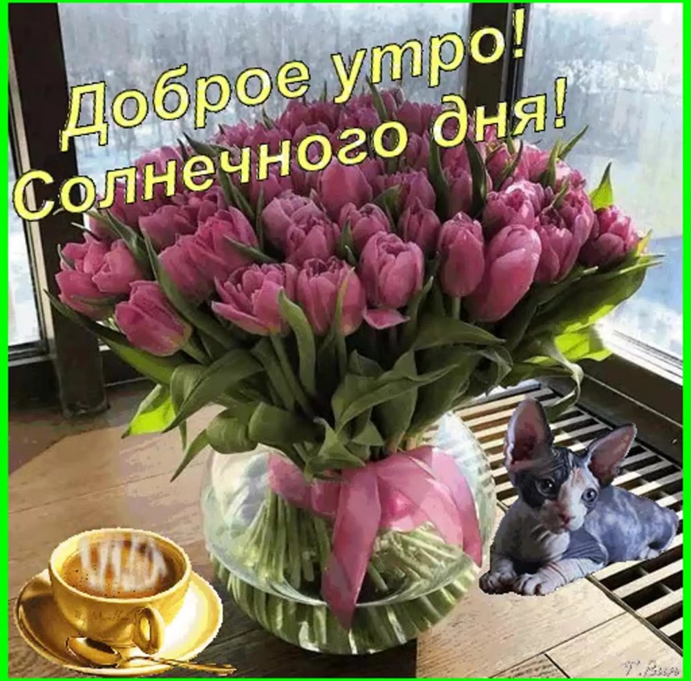 Пожелания с добрым воскресным утром