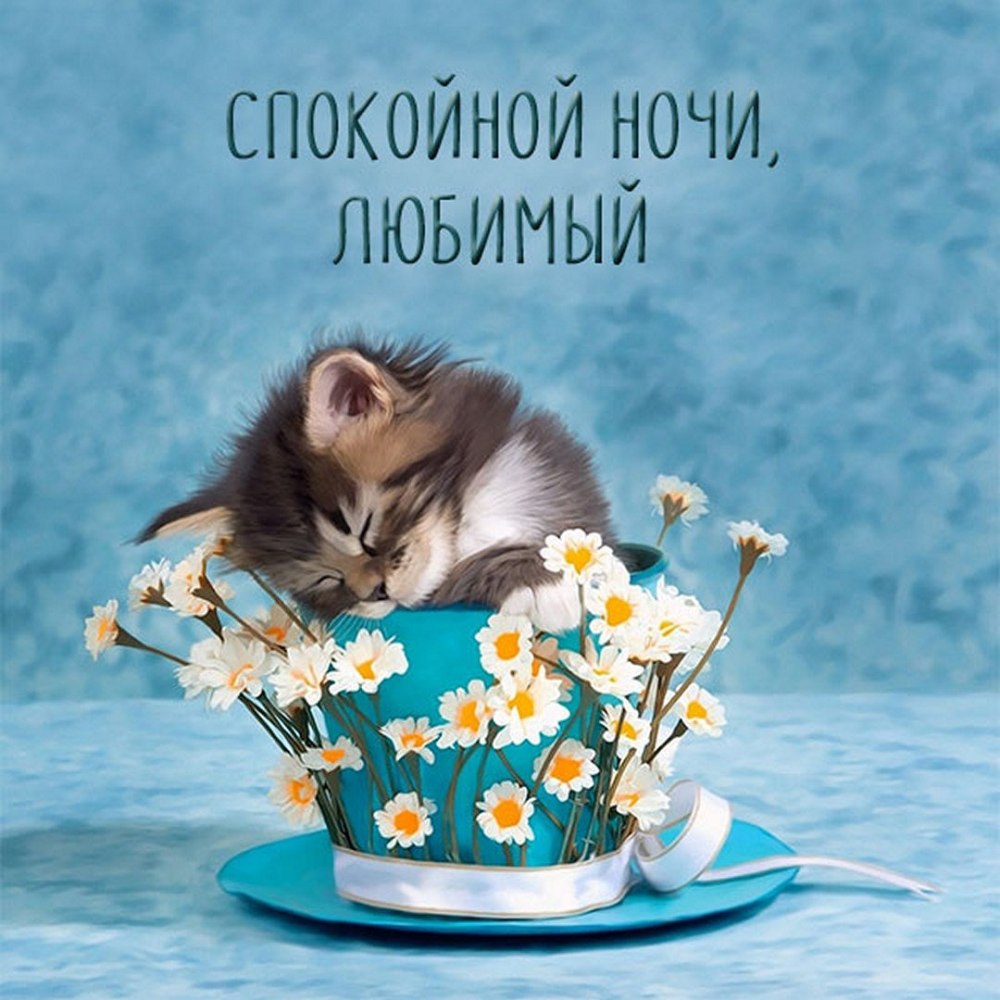 С добрым воскресным утром