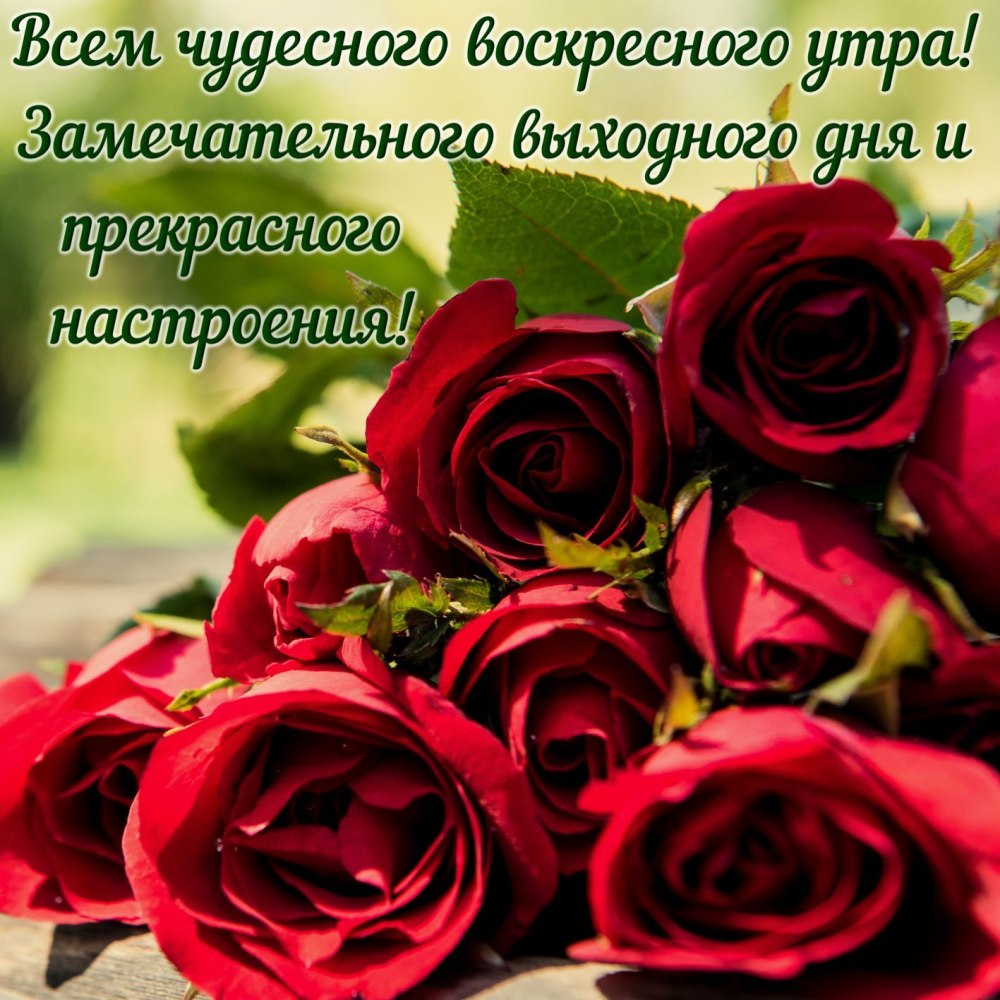 Отличного воскресенья