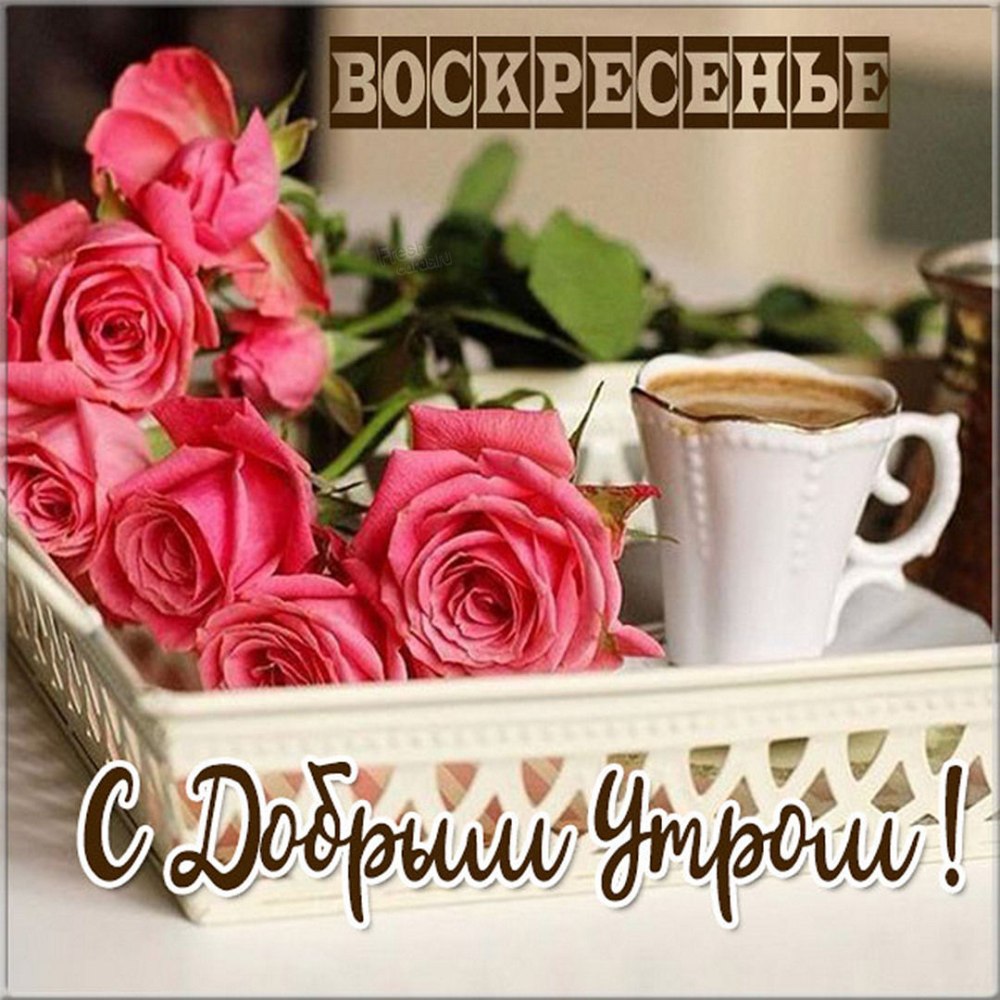 Колокольчики цветы букет