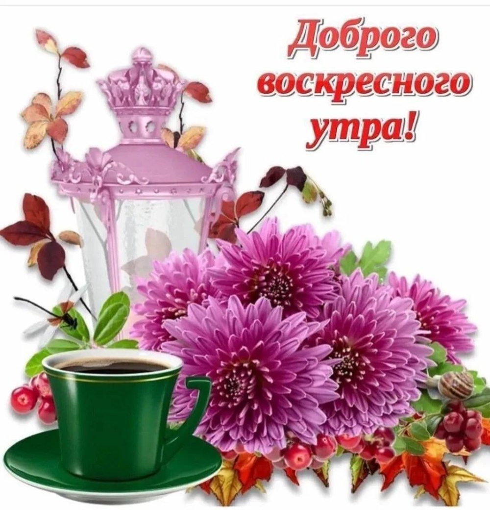 Хорошего воскресного дня и отличного настроения
