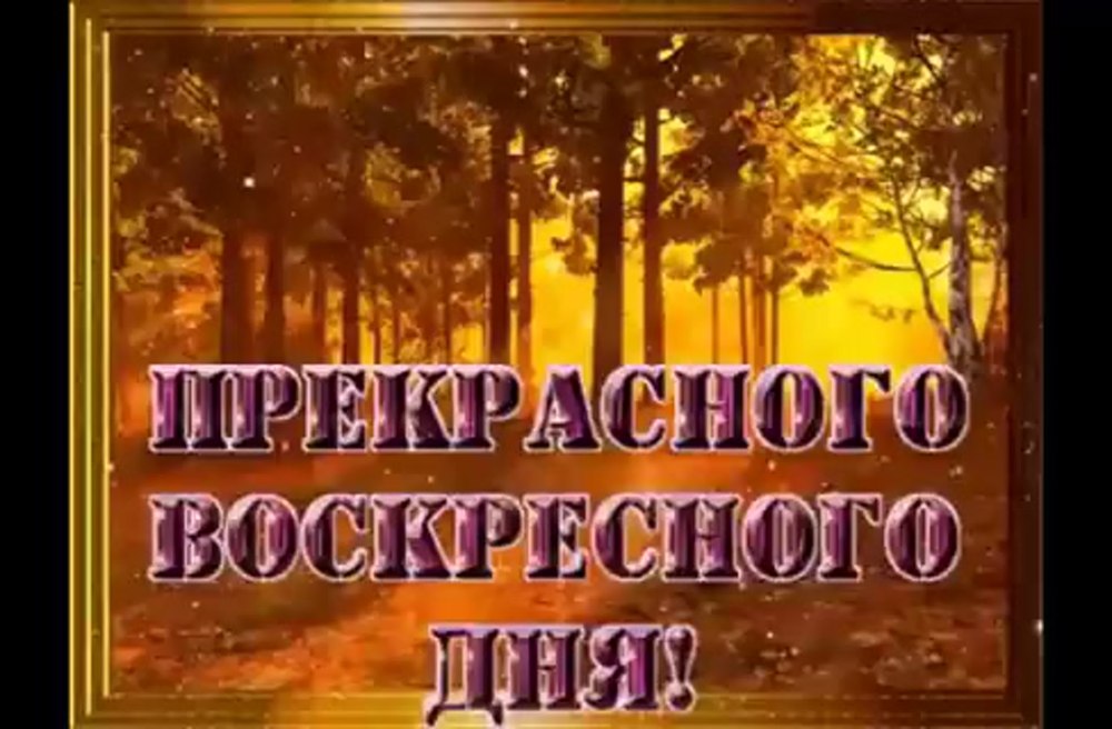 С добрым воскресным утром