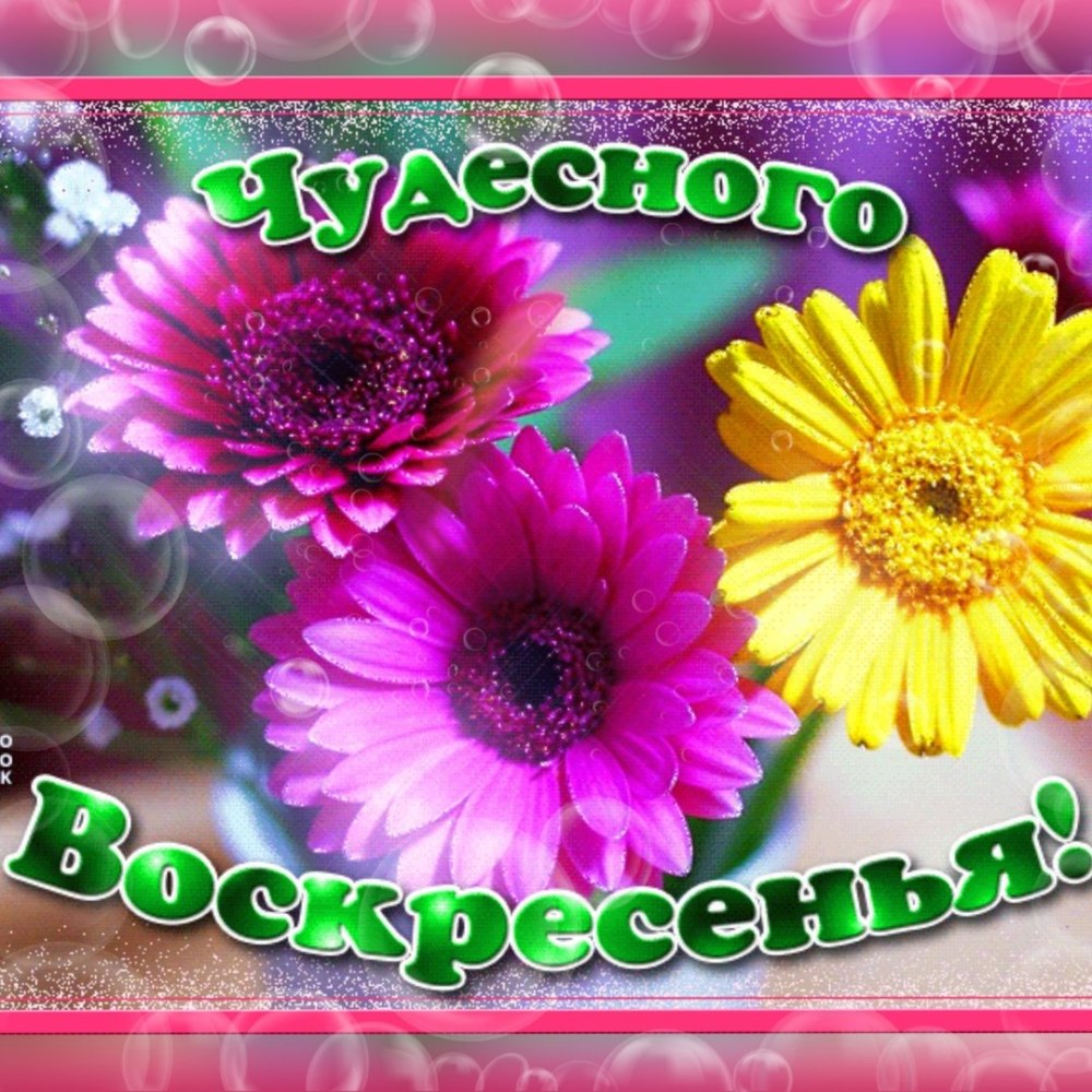 Удачного воскресенья и хорошего настроения