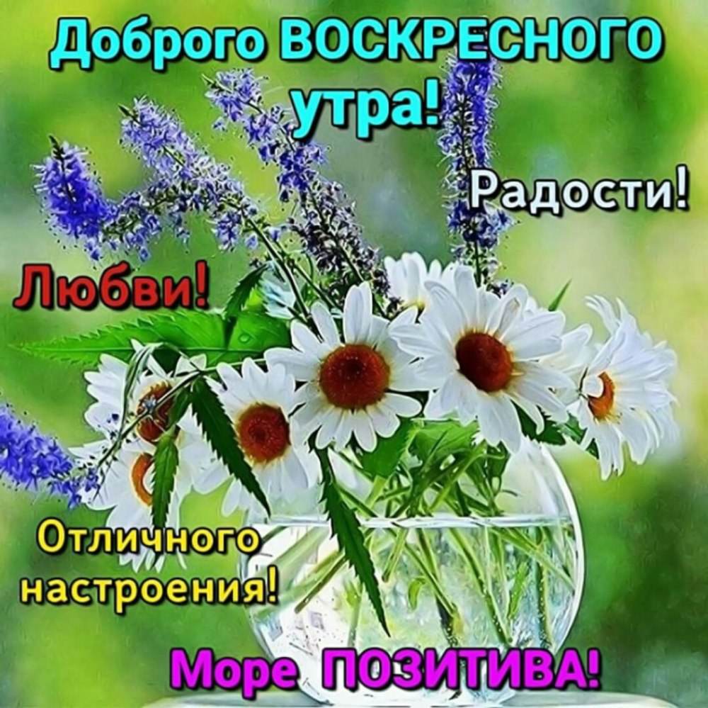 Доброго воскресного дня