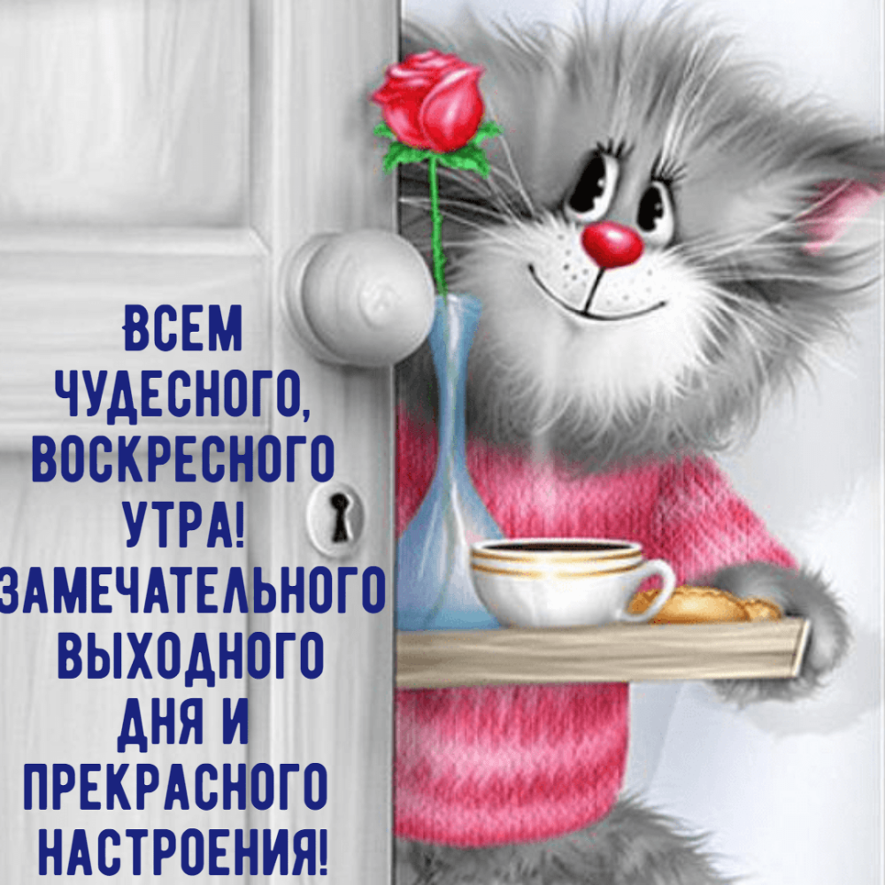 Открытки с воскресеньем прикольные