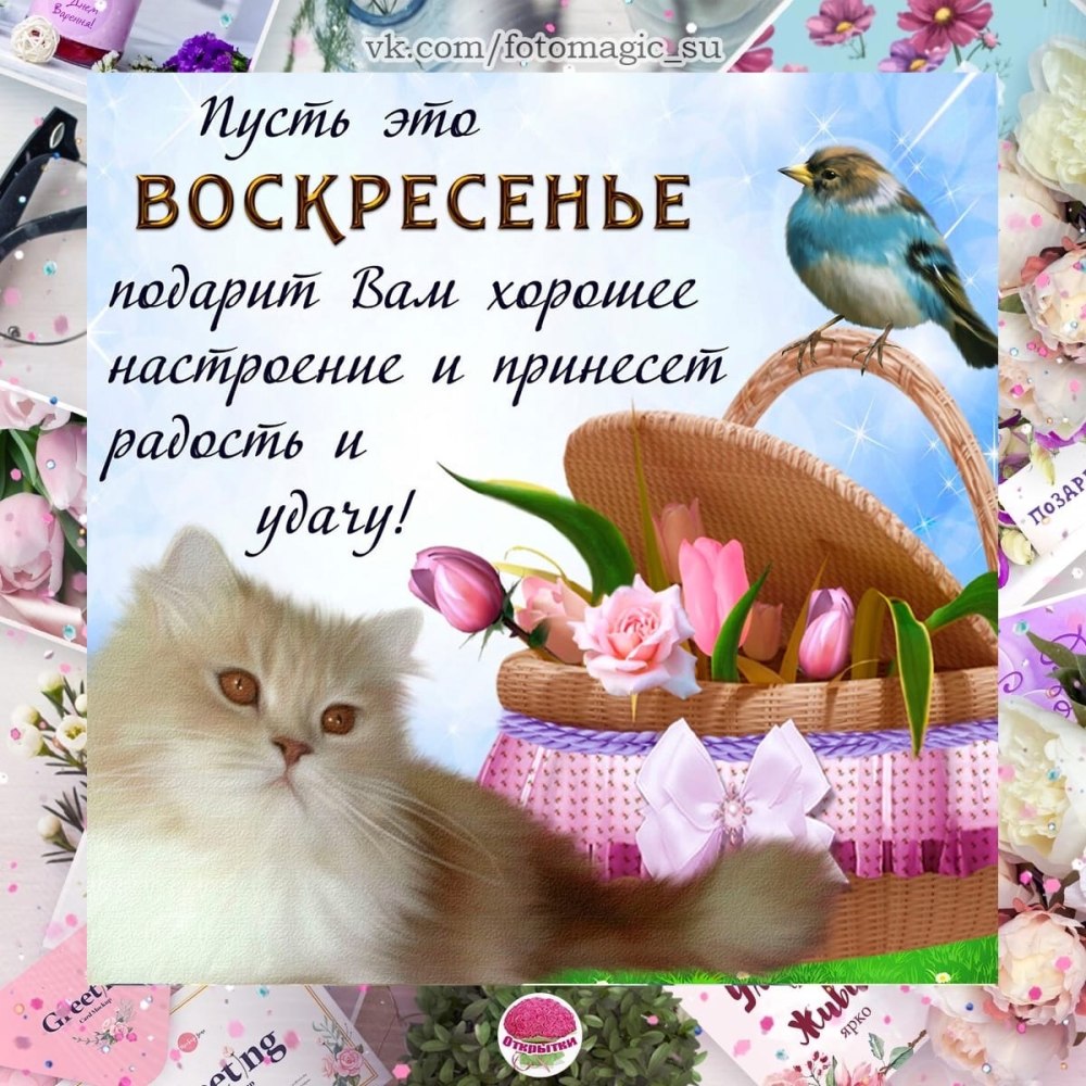 Чудесного воскресного дня