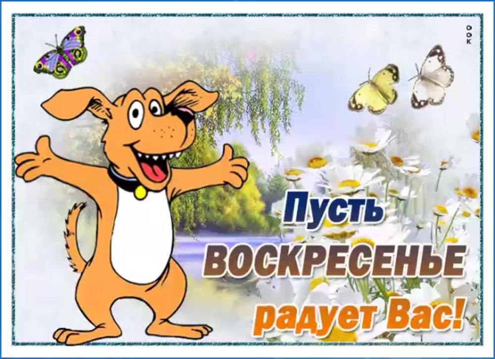 Прекрасного воскресного дня