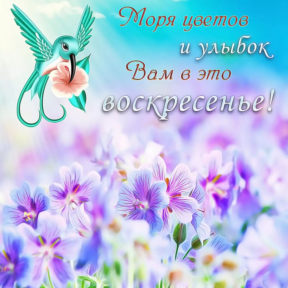 Прикольные поздравления с воскресеньем