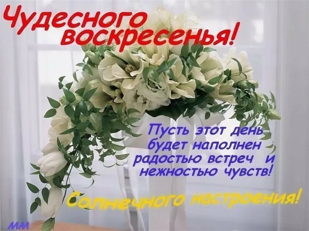 Доброго воскресного утра и хорошего настроения