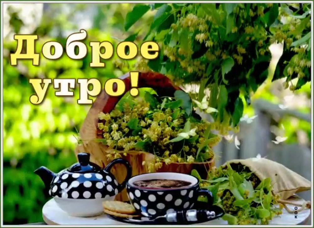 Чудесного денёчка и отличного настроения