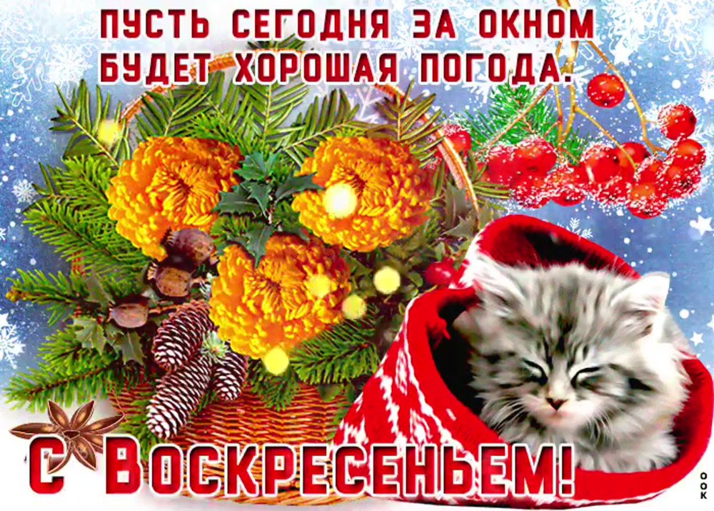 Доброе Воскресное утро мужчине