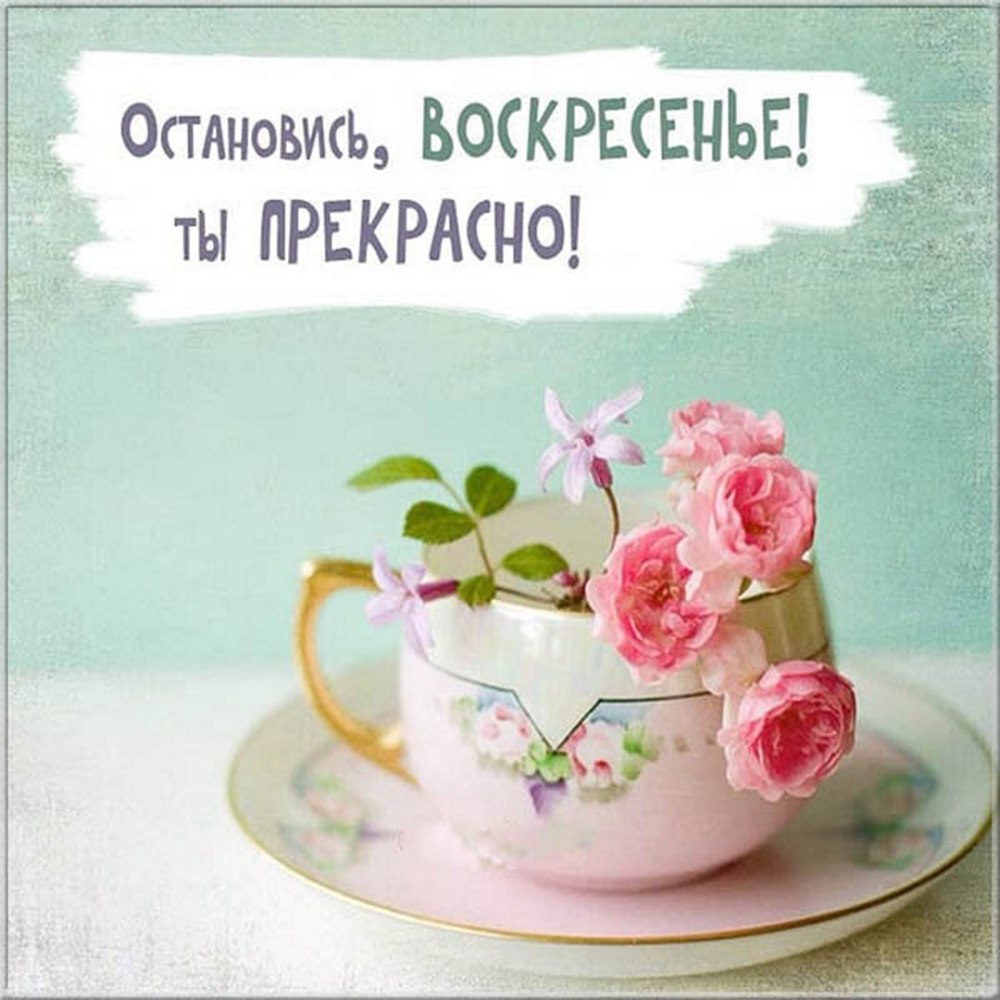 Замечательного утра и прекрасного настроения