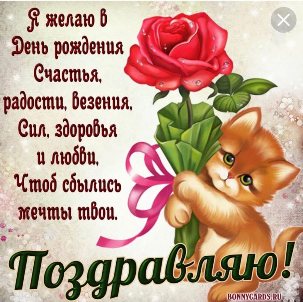 С днём рождения девушке