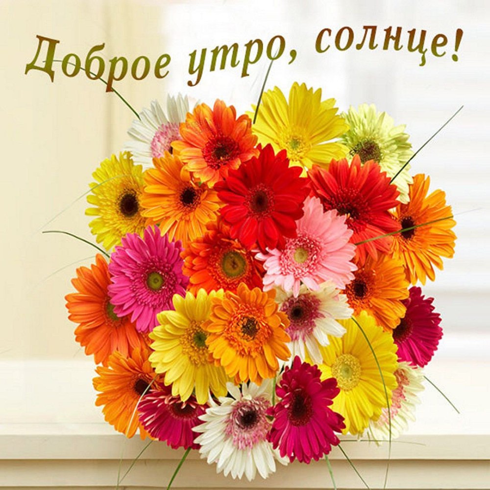 Яркий Солнечный день