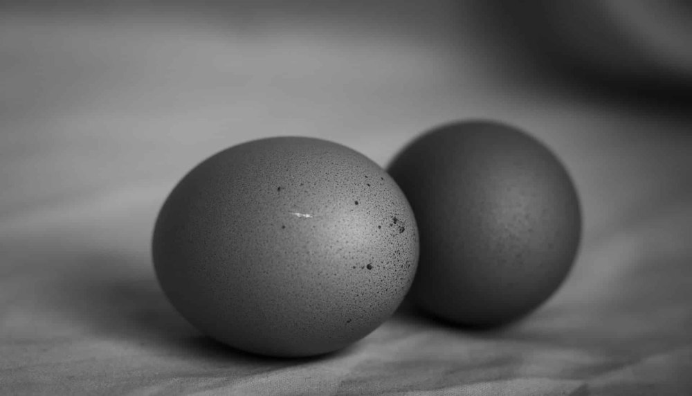 Черные яйца