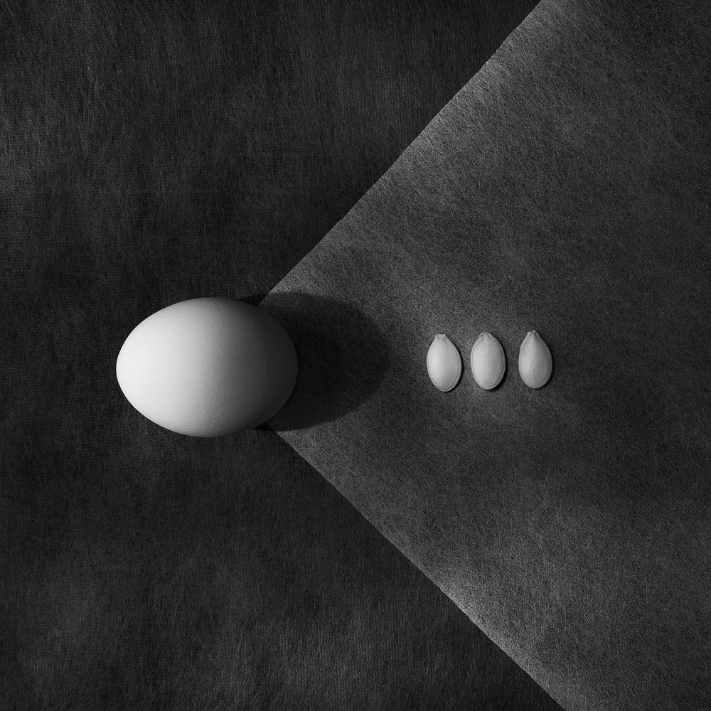 Натюрморт с яйцом Минимализм