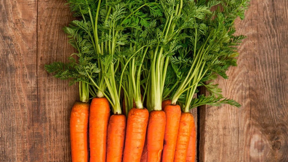 Морковь Натургор