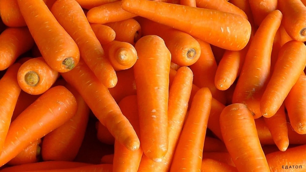 Текстура моркови