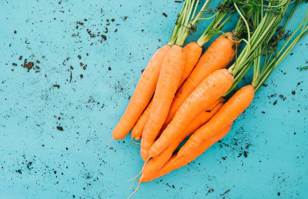 Морковь на зеленом фоне