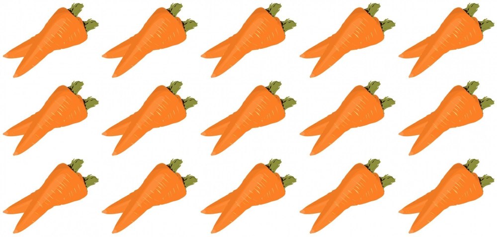 Камаран f1 морковь