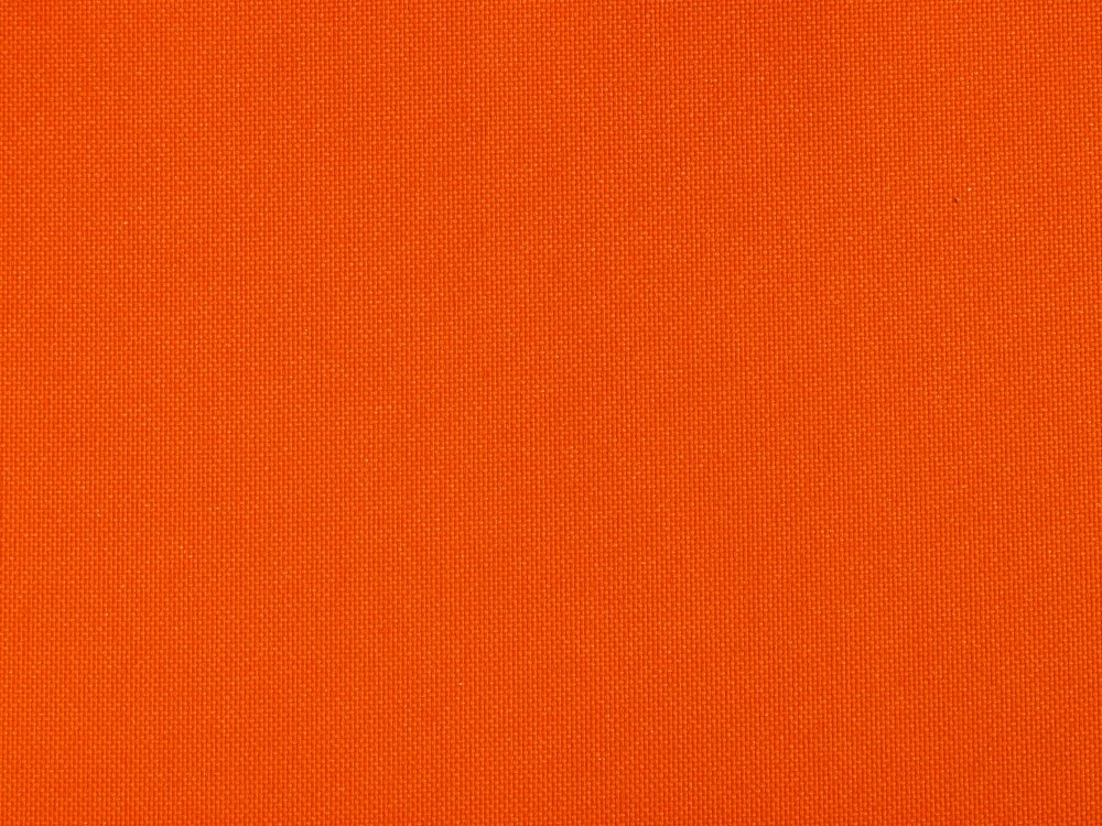 Морковь на белом фоне