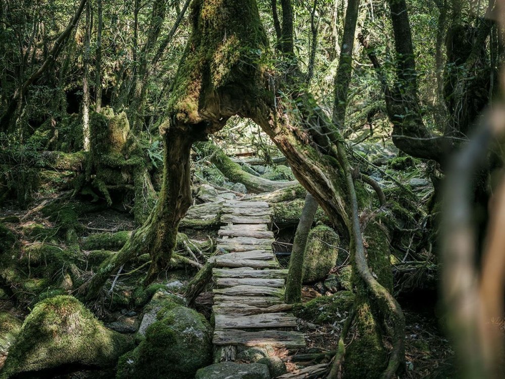 Legolas aesthetic