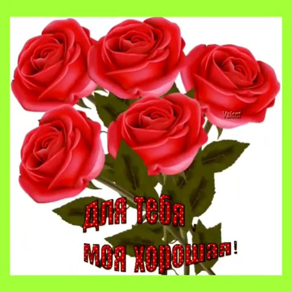 Розы для Наташи