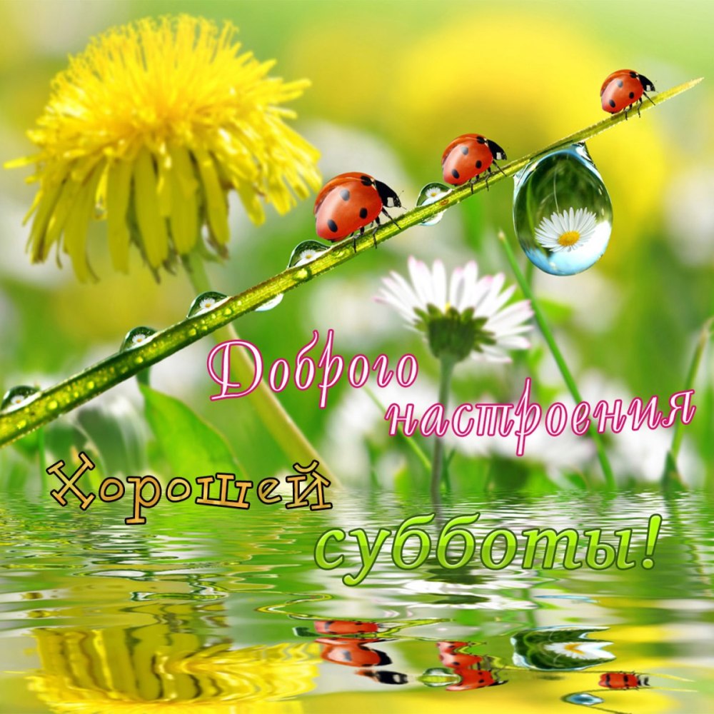 Хороших выходных