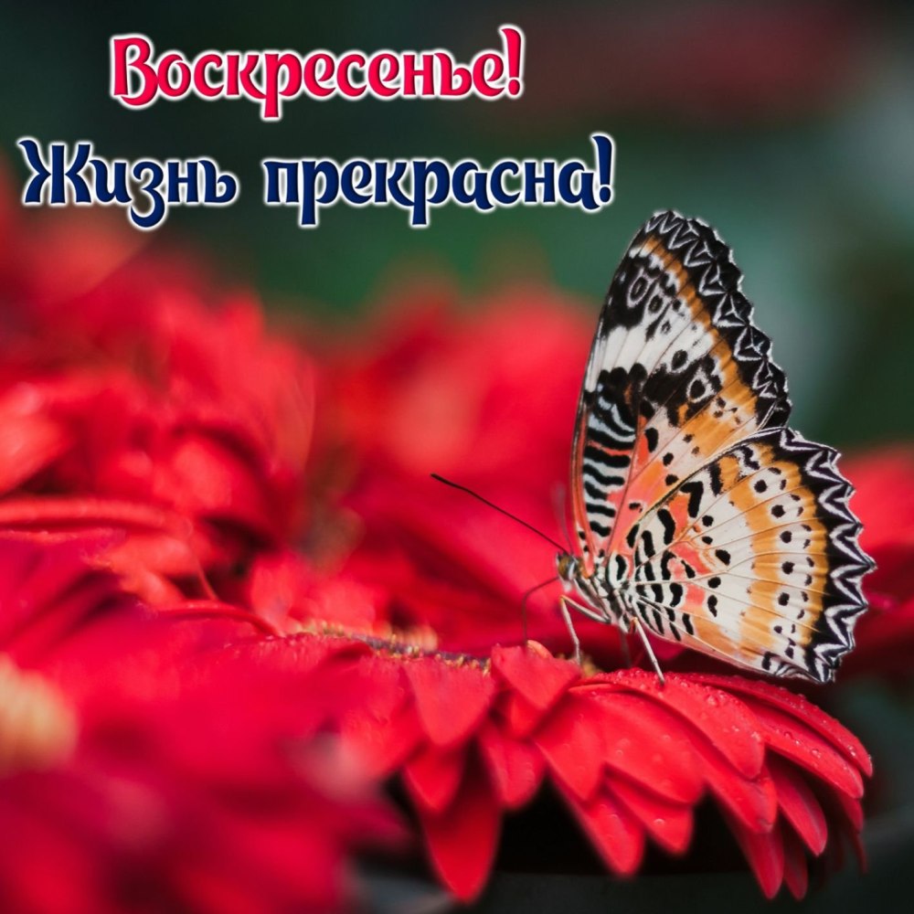 Пожелания душевной субботы